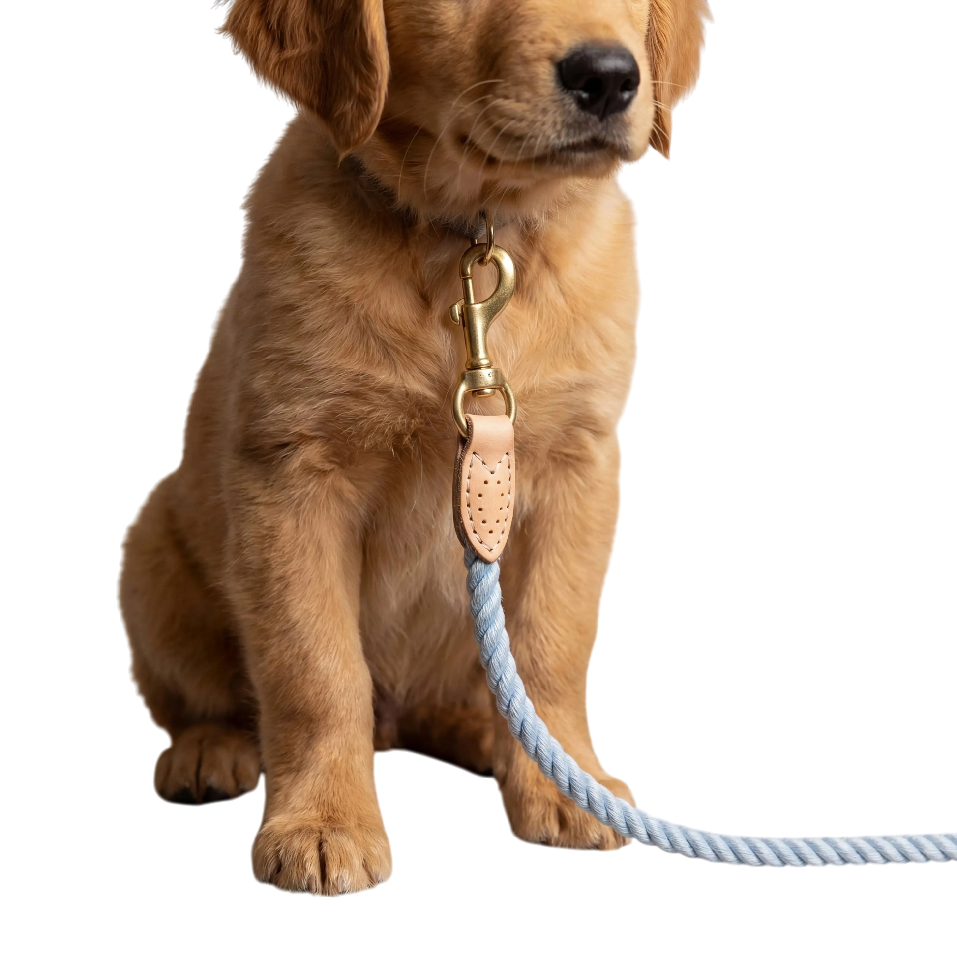 Braided Dog Leash