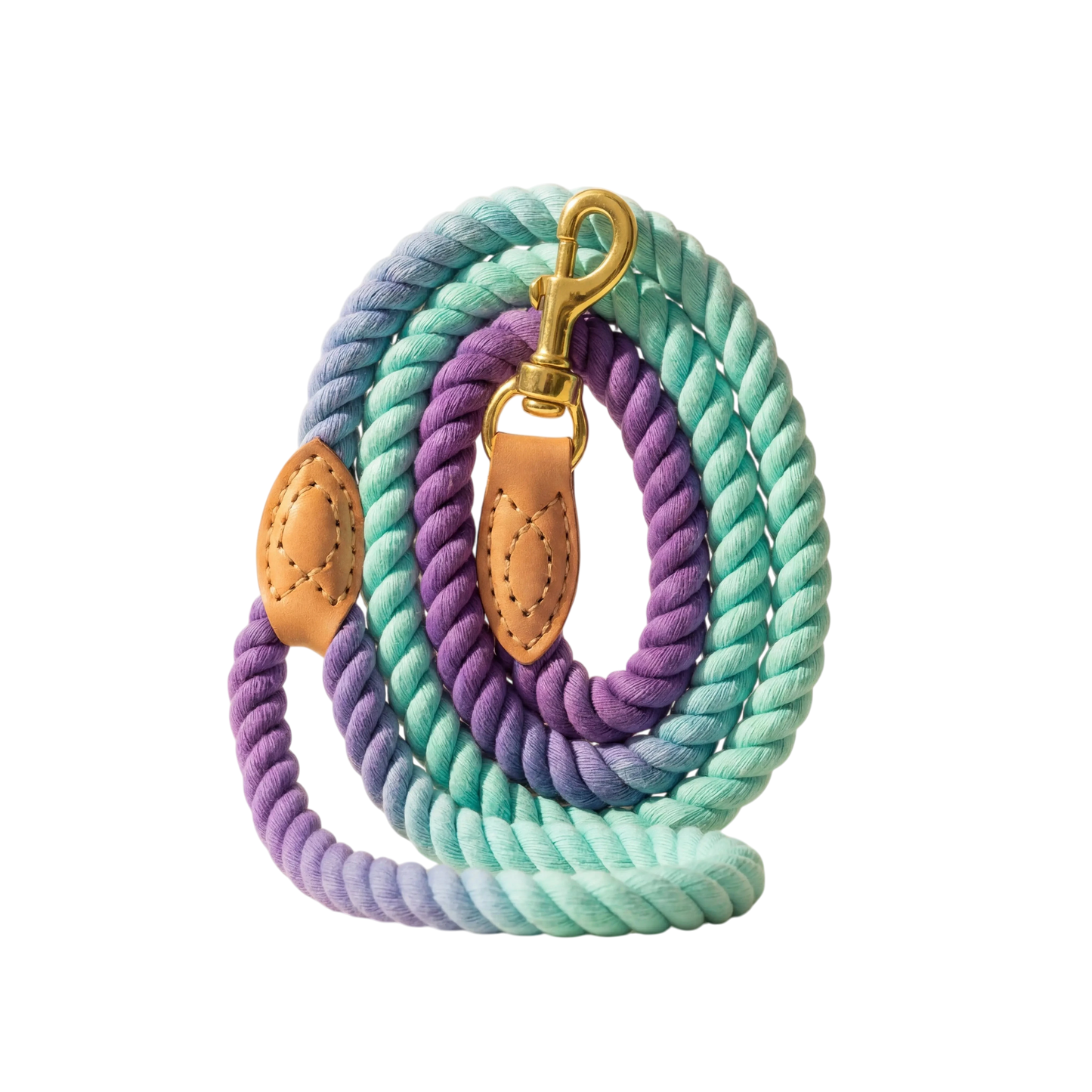 Braided Dog Leash
