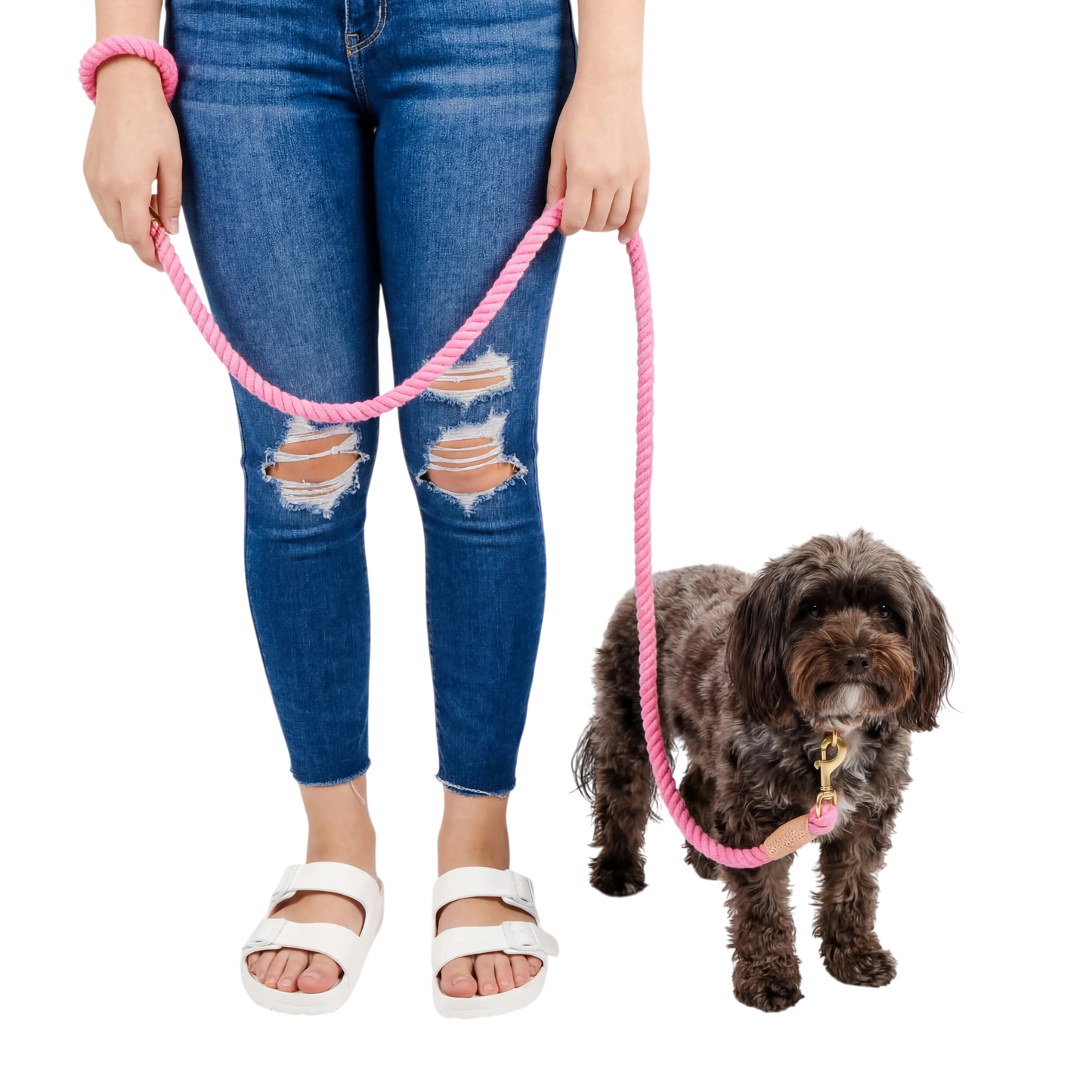 Braided Dog Leash