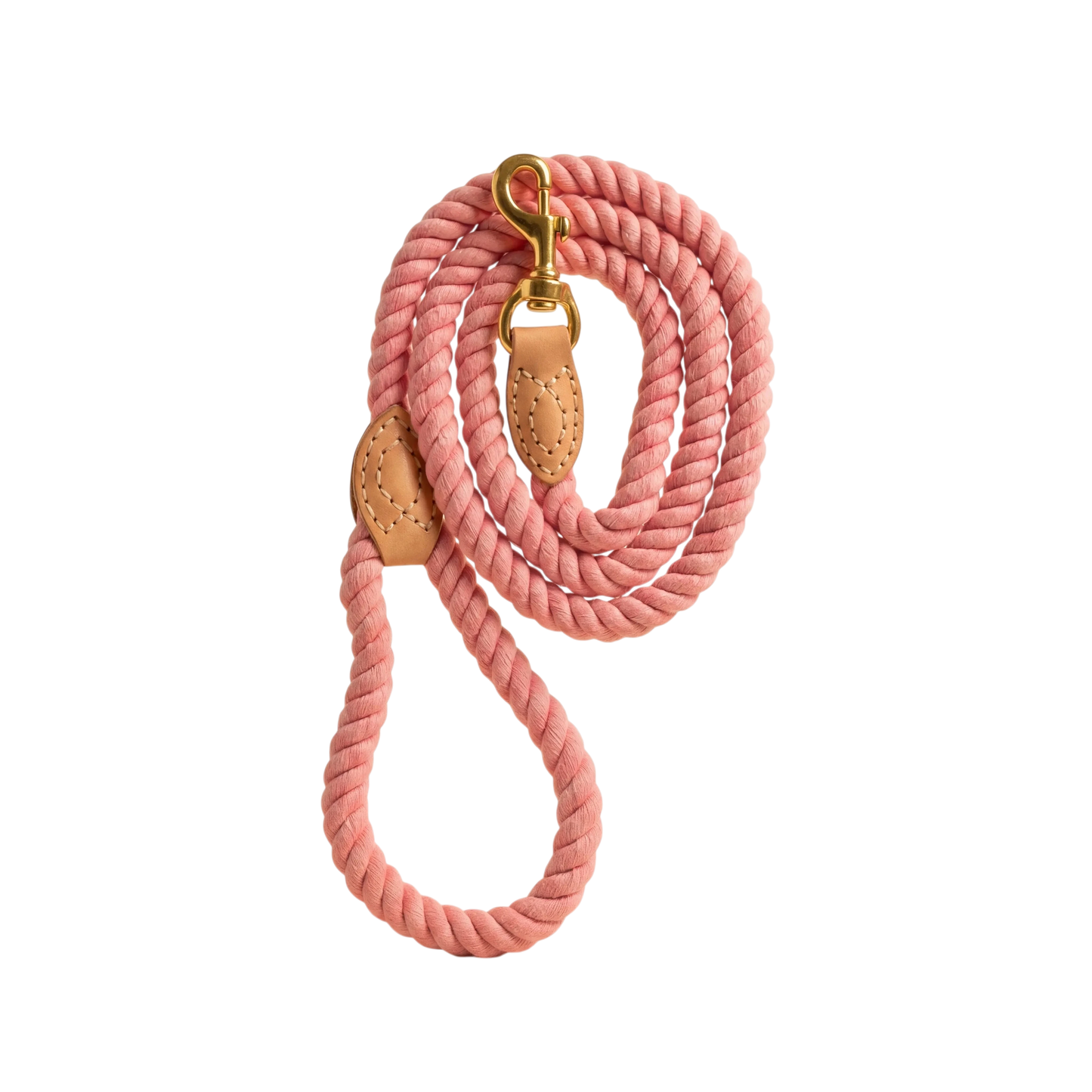 Braided Dog Leash