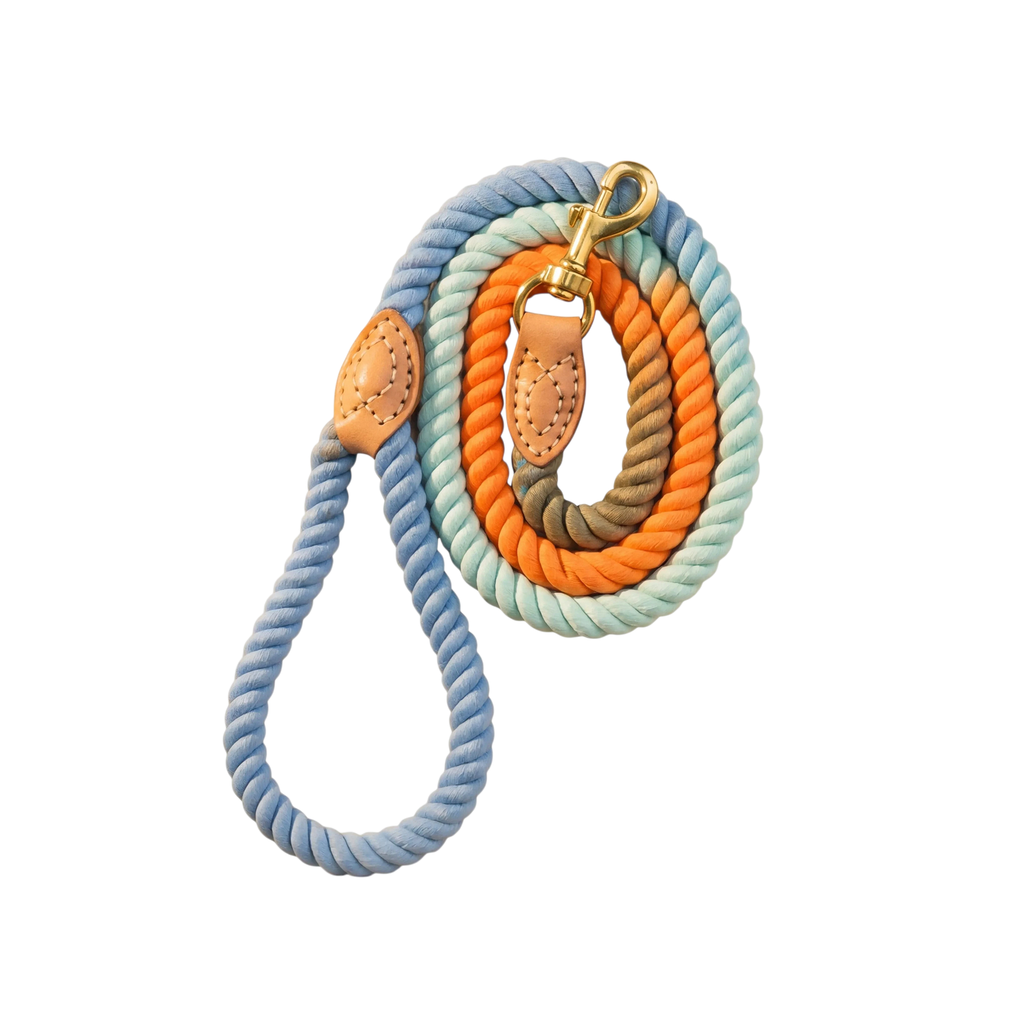 Braided Dog Leash
