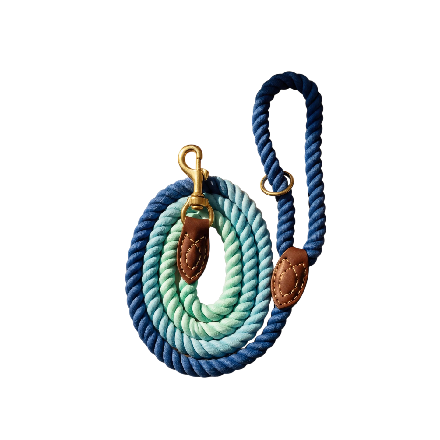 Braided Dog Leash