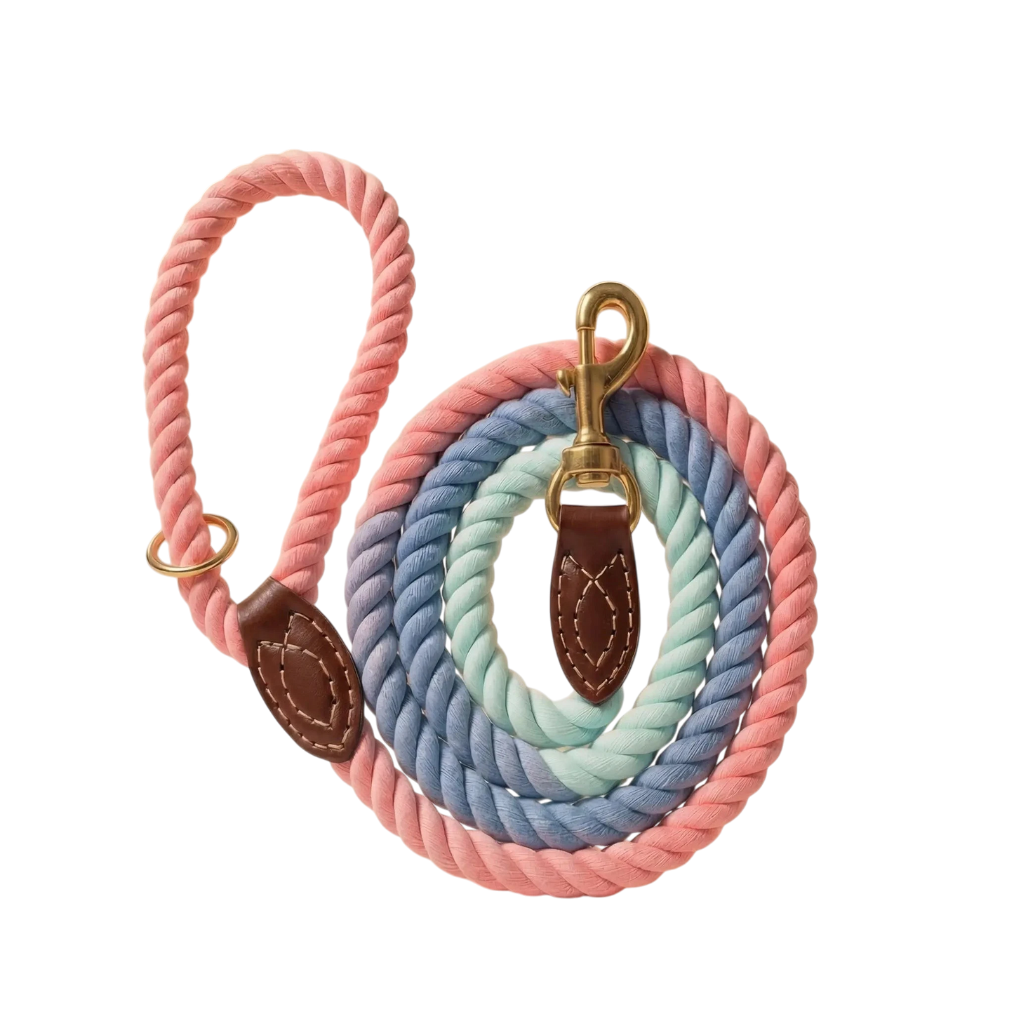 Braided Dog Leash