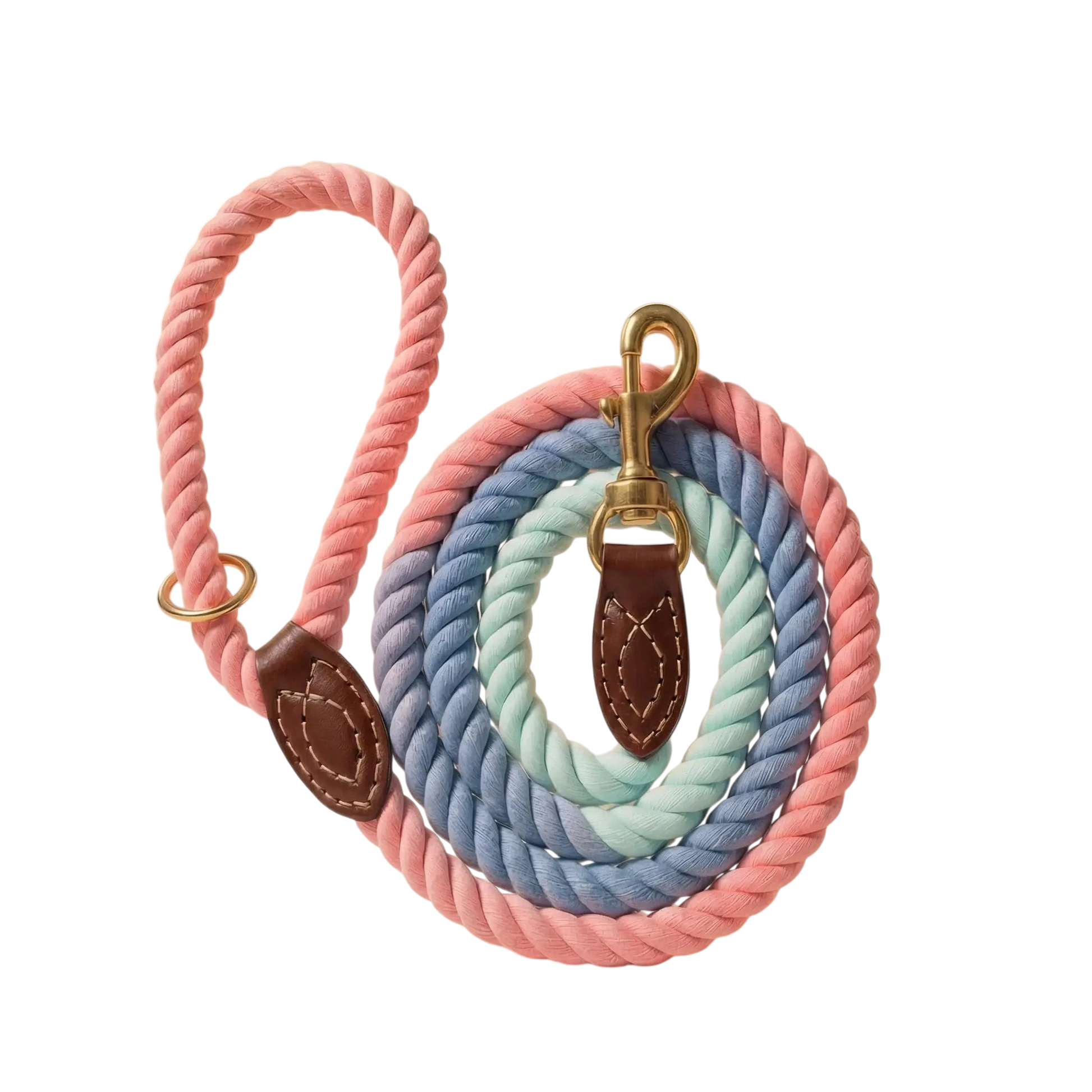 Braided Dog Leash