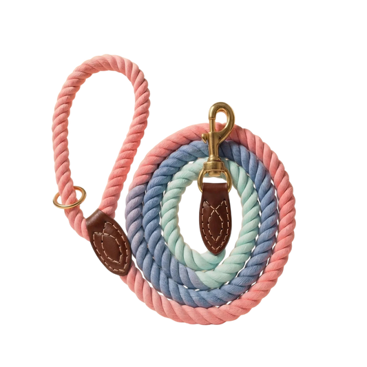 Braided Dog Leash